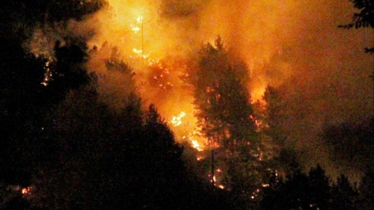 Снимка: Булфото