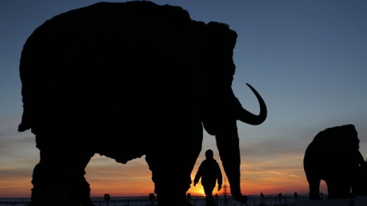 Снимка: архив, Reuters