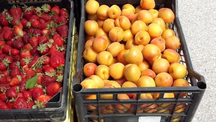 Снимка: архив, Булфото