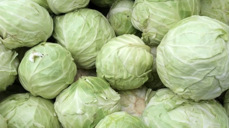 Архив: Булфото