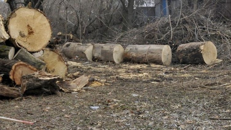 Снимка: архив, Булфото