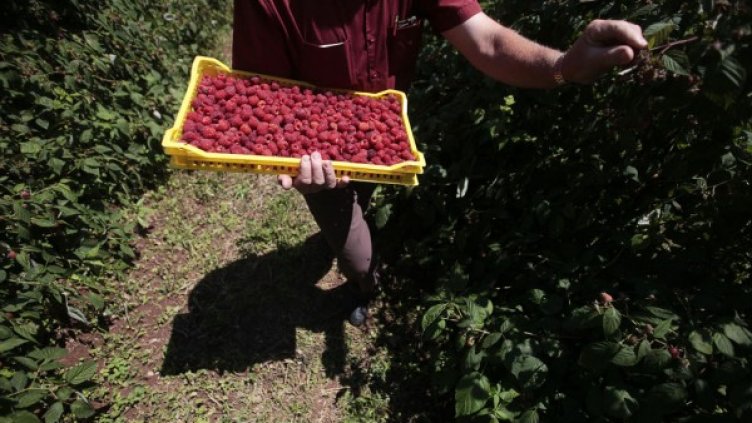 Снимка: архив, Reuters