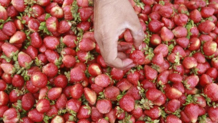 Снимка: архив, Reuters