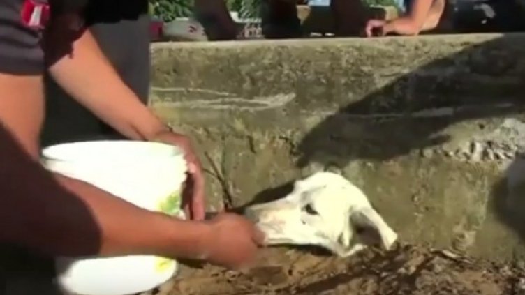 Снимка: YouTube