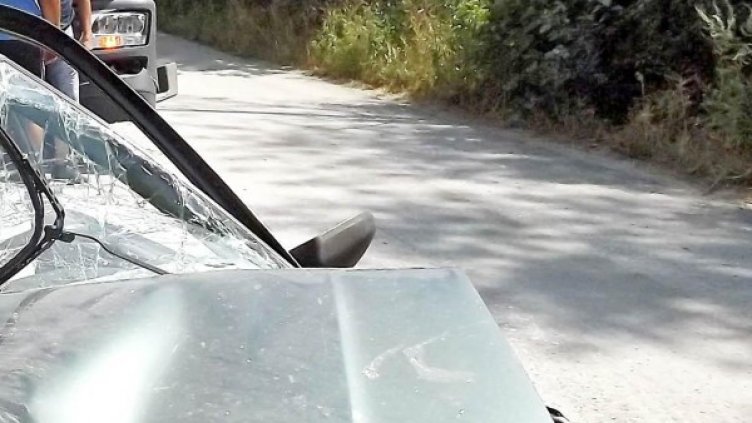 Снимка: архив Bulphoto