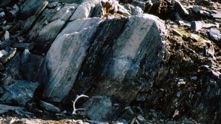 Снимка: архив, Reuters