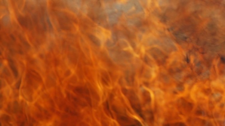 Снимка: Reuters, архив