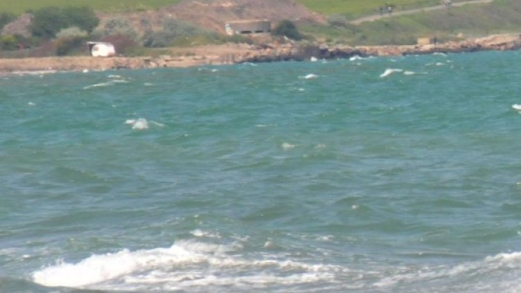 Архив: Булфото