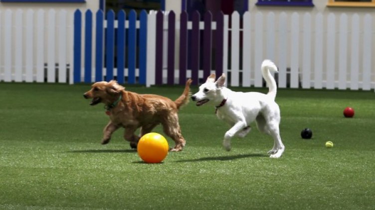 Снимка: архив, Ройтерс