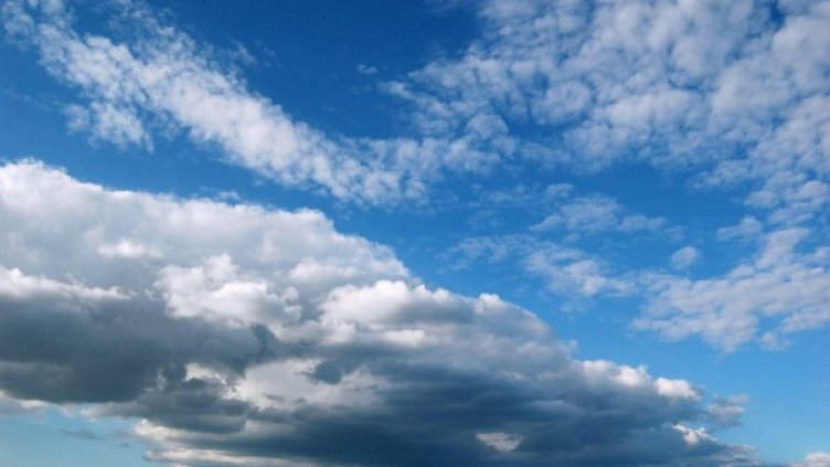 Снимка: Булфото