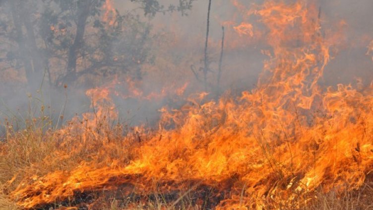 Снимка: БТА, архив