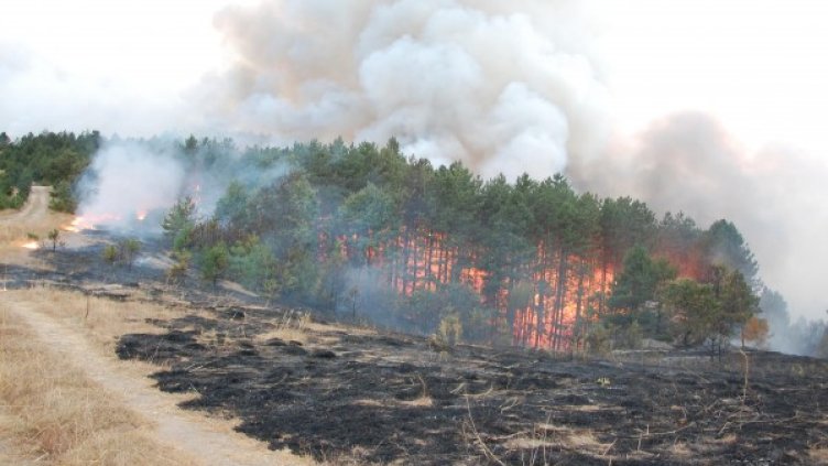 Снимка: Булфото, архив