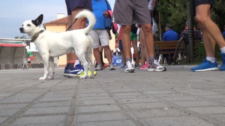 Снимка: Dnes.bg