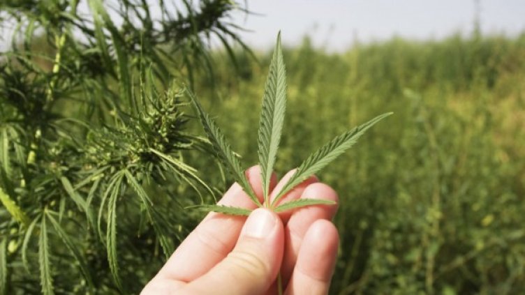 Снимка: архив, Булфото