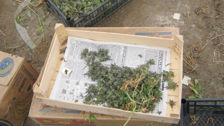 Снимка: Булфото, архив