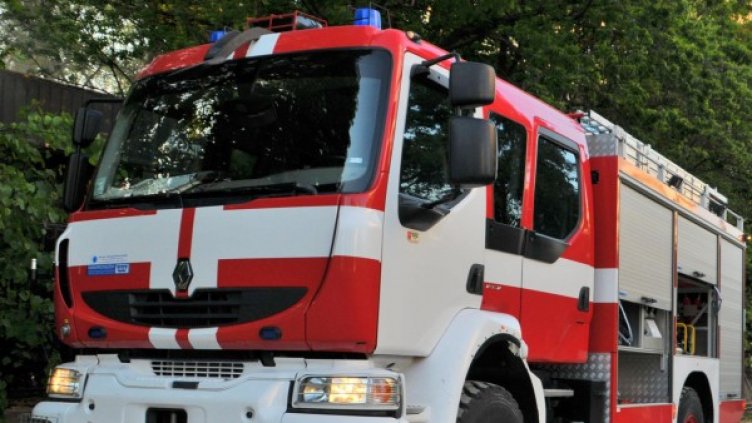 Снимка: Архив, Булфото