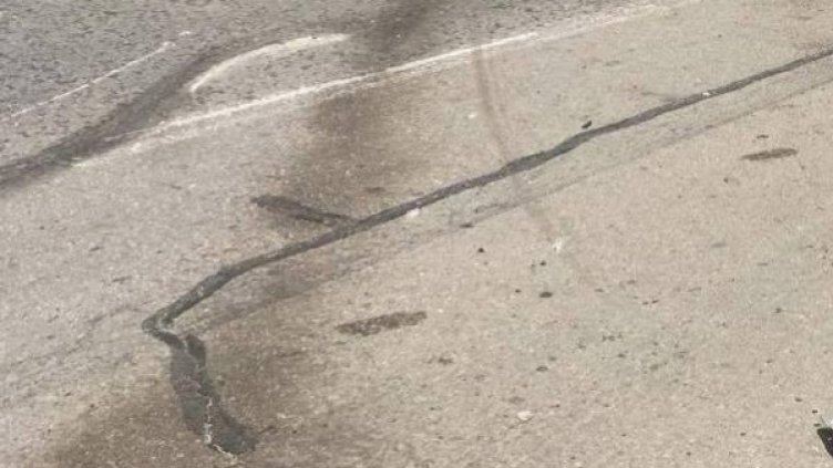 Снимка: архив, Булфото