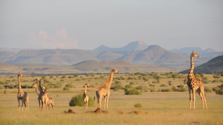 Снимка: архив, Reuters