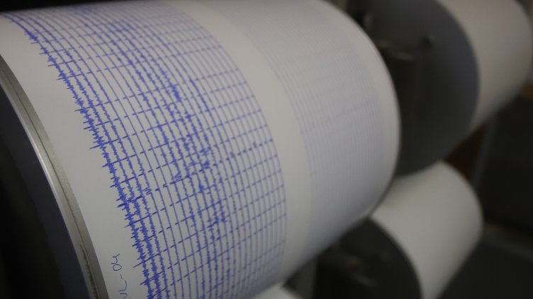 Снимка: архив, БГНЕС