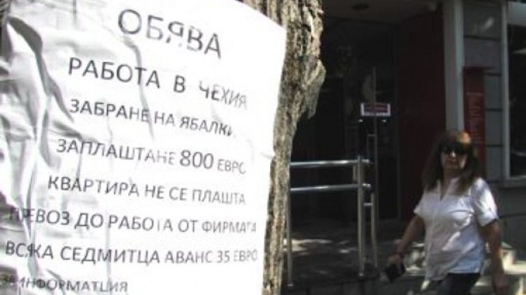 Снимка: Труд