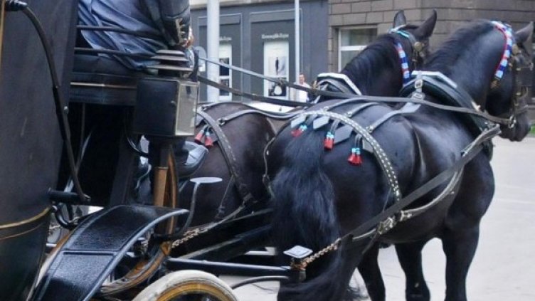 Снимка: Булфото, архив