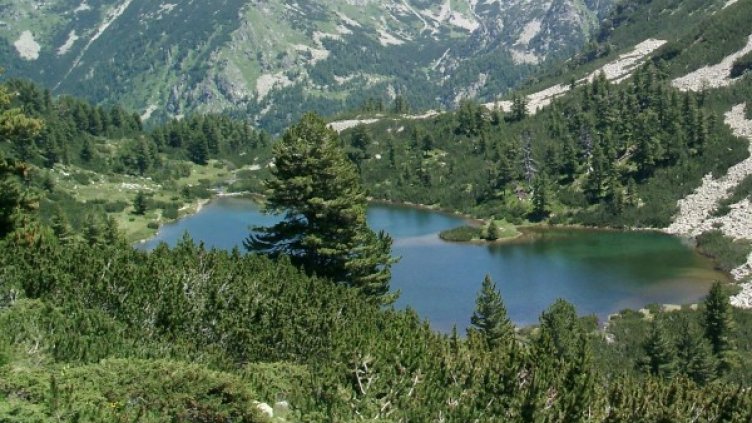 Снимка: архив, Булфото