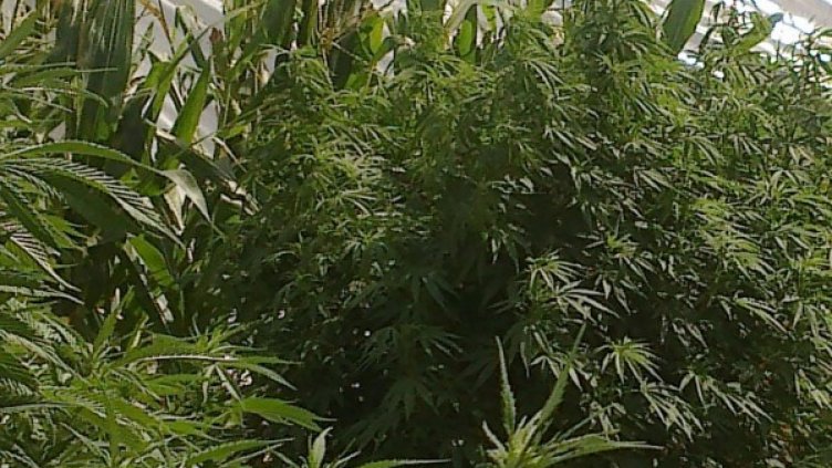 Снимка: архив, Reuters