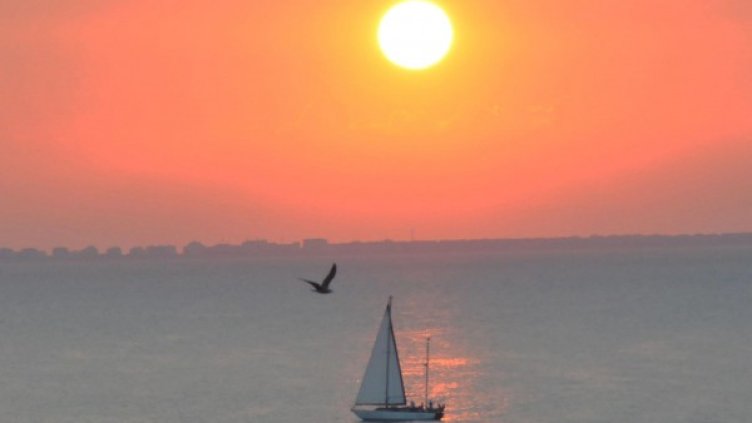 Снимка: архив "Булфото"