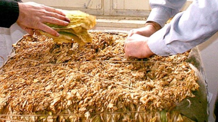 Снимка: архив "Булфото"