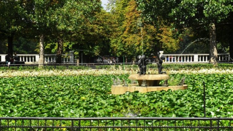 Снимка: архив Bulphoto