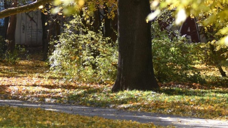 Архив: Булфото