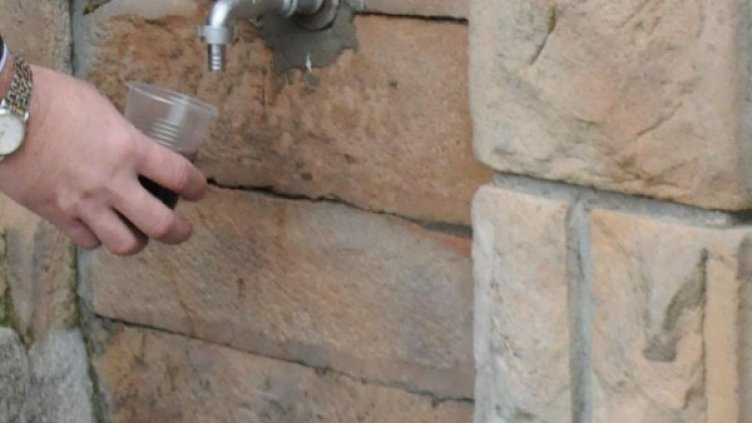 Архив: Булфото