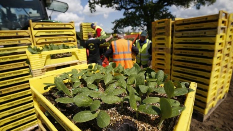Снимка: Reuters, архив