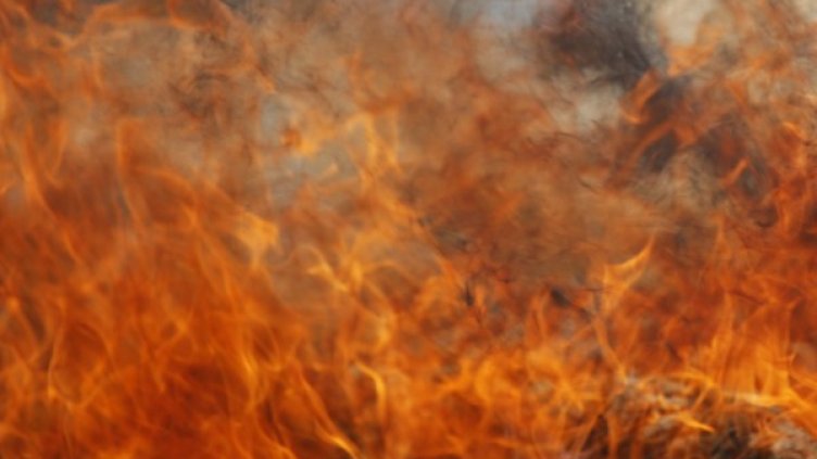 Снимка: Reuters, архив