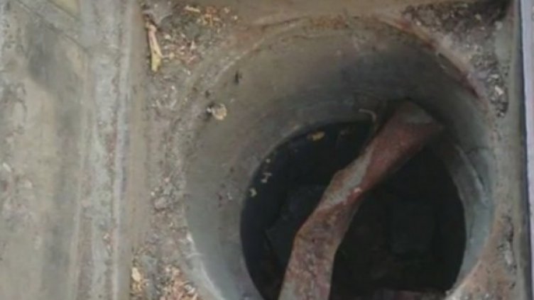 Снимка: Кадър Нова тв