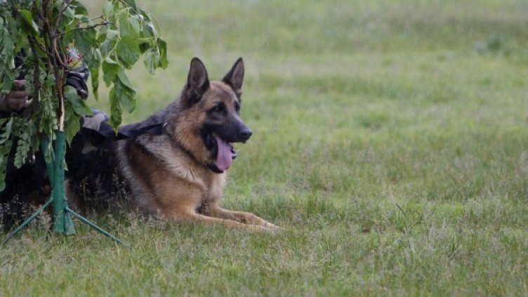 Снимка: архив Reuters