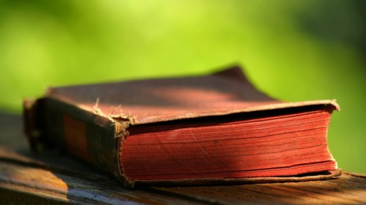 Снимка: freeimages