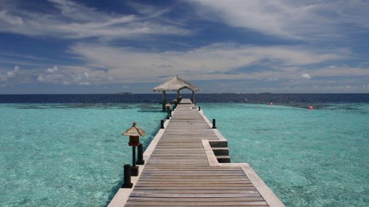 Снимка: freeimages