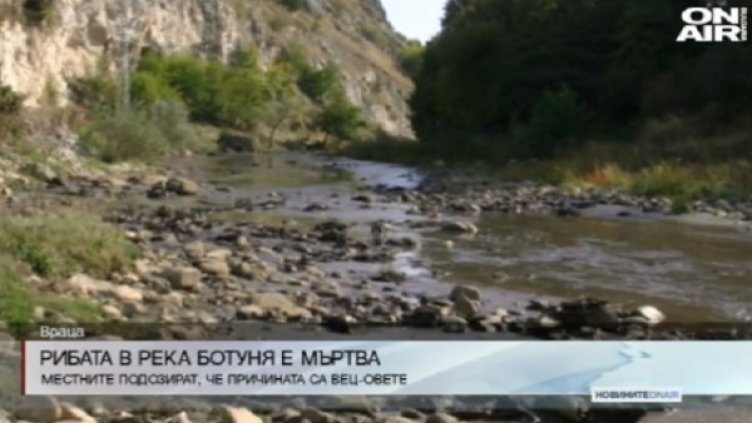 Снимка: Bulgaria ON AIR