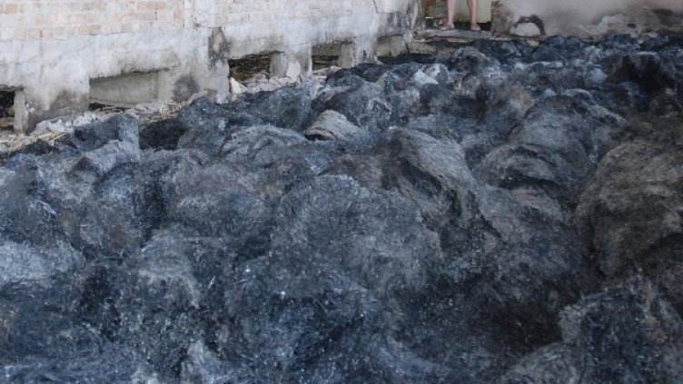 Снимка: Булфото, архив