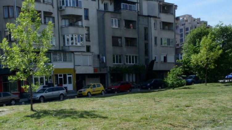 Снимка: архив Булфото