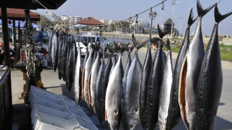 Снимка: Булфото, архив