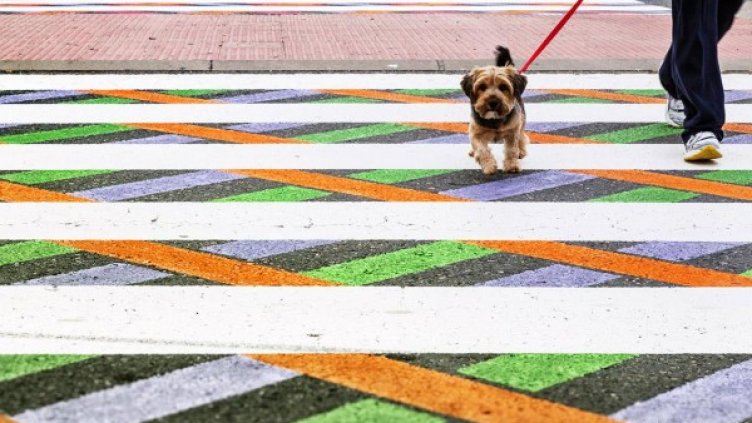 Снимка: Facebook