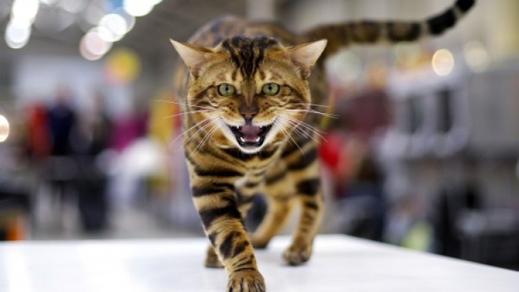 Снимка: архив Reuters