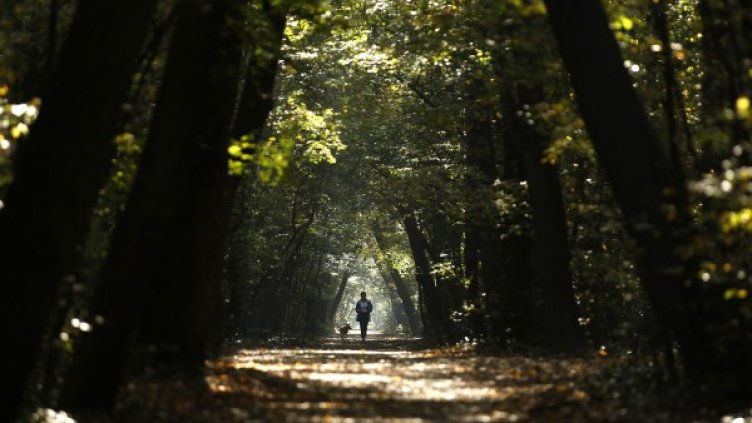 Снимка: архив, Ройтерс