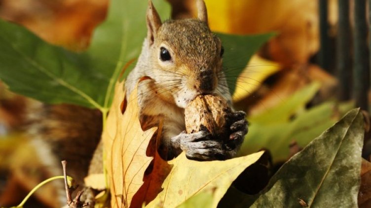 Снимка: архив, Ройтерс
