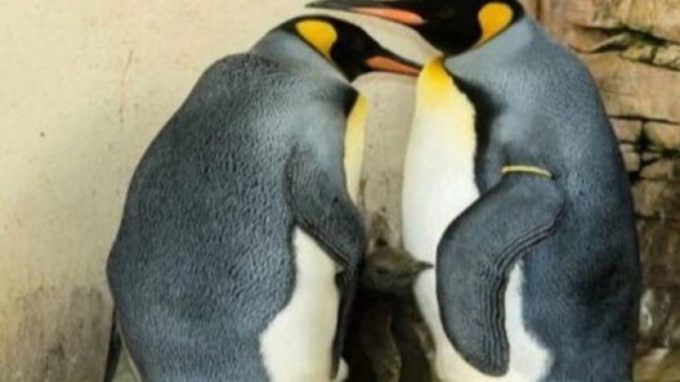 Снимка: Twitter