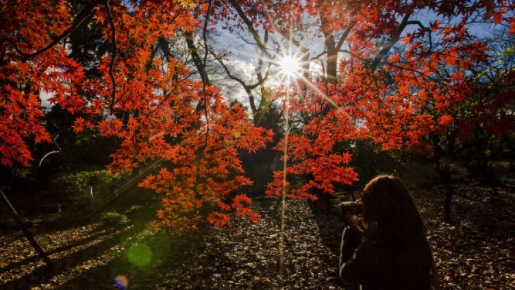 Снимка: Архив, Reuters