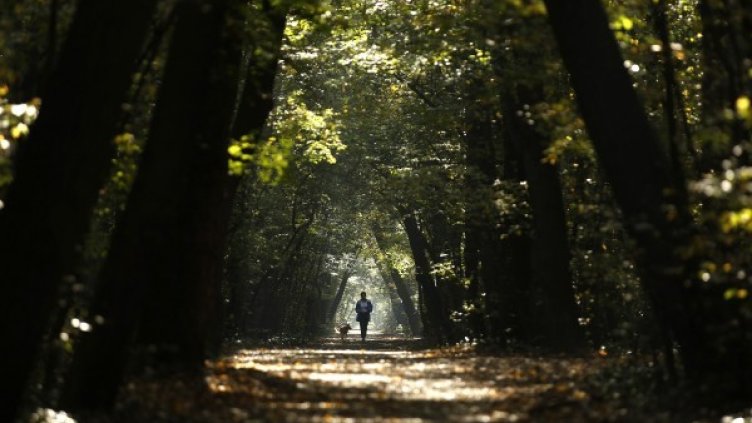 Снимка: Reuters