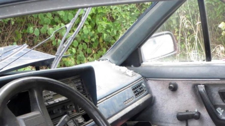 Снимка: Булфото, архив